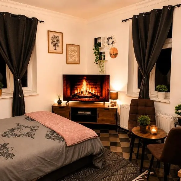 Viesnīca Peaceful & Cozy Apartment Drēzdenē