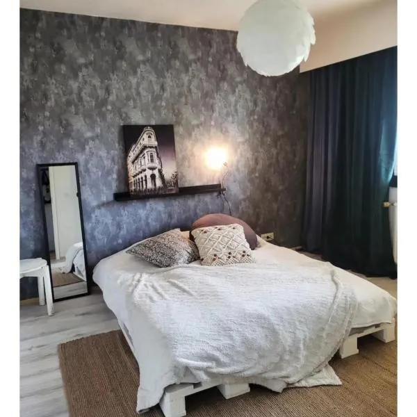 Apartmentmuikku, hotel di Siilinjärvi