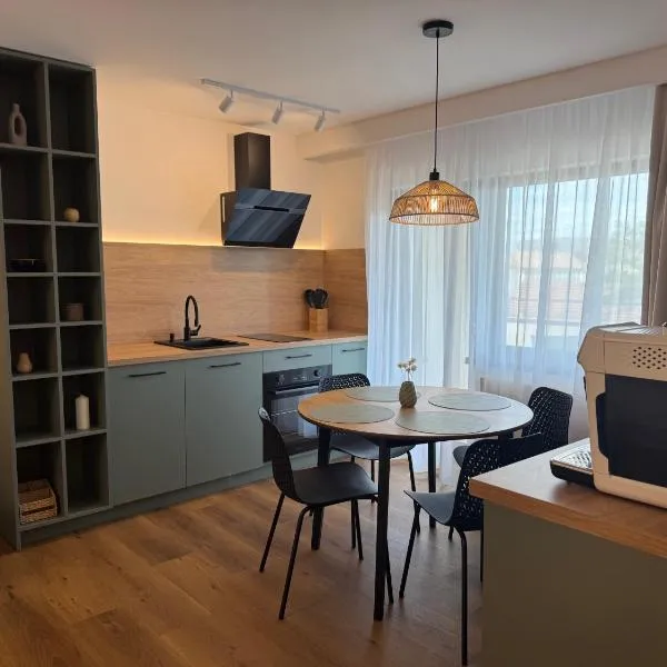 Saltoria Apartments Ocna Mures, ξενοδοχείο σε Ocna Mureş