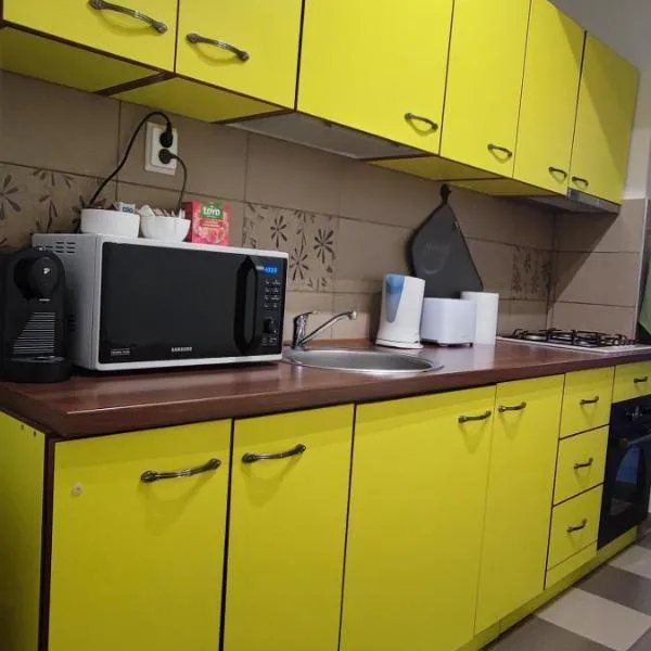 Louie's apartament, hotel in Cluj-Napoca