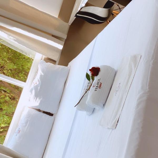Hotel Via Sul