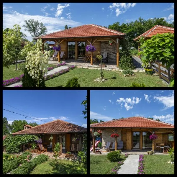 Apartman Dača Banja Ždrelo, khách sạn ở Malo Laole