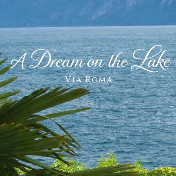 A DREAM ON THE LAKE Via Roma, hotel en Lierna