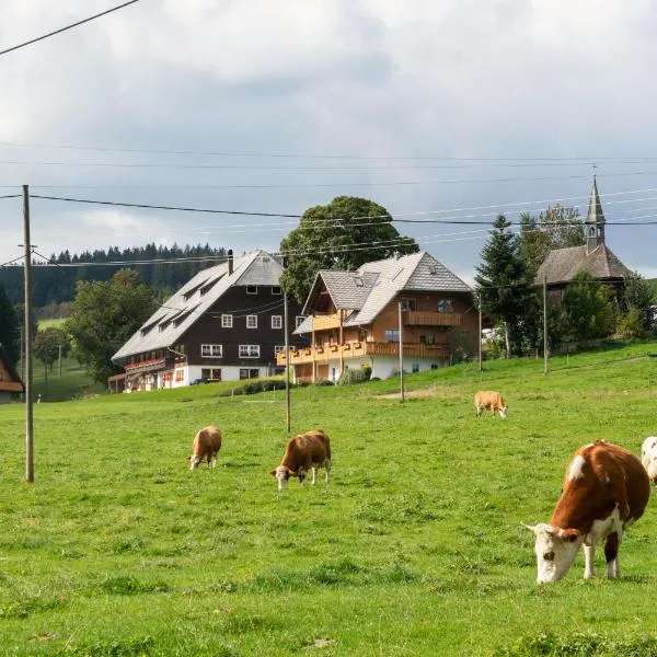 Bärenhof Backhaus, hotel v mestu Eisenbach