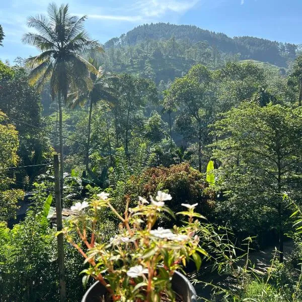 Ella Thenulya, hotel di Ella