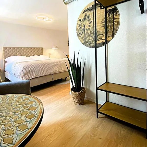 Altstadt Boutique mit Lift, Küche und Bike-Raum, hotel en Stein am Rhein