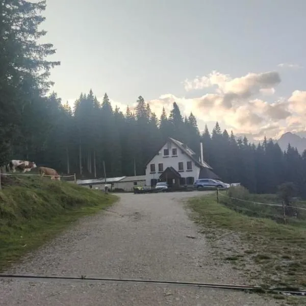 Stanza Antelao Ciauta – hotel w mieście Villanova