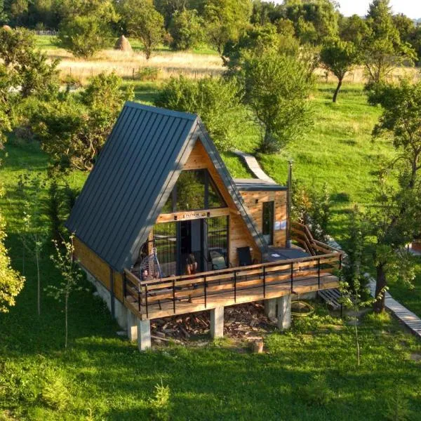 Secluded A-Frame Cabin with Private Hot Tub & Views - IezerVenture,Şelari的飯店