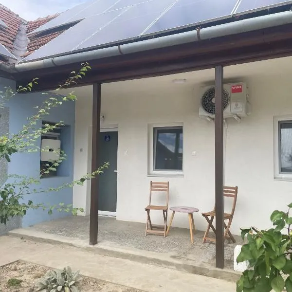 Ana apartmani – hotel w mieście Pačir
