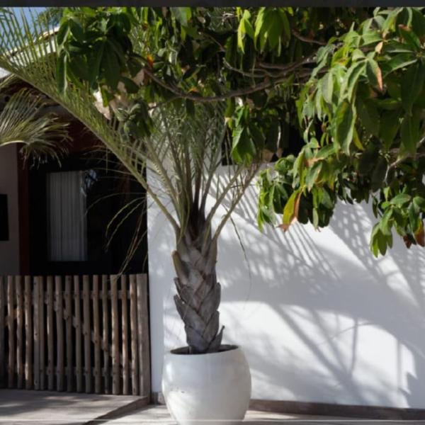 Casa Estúdio