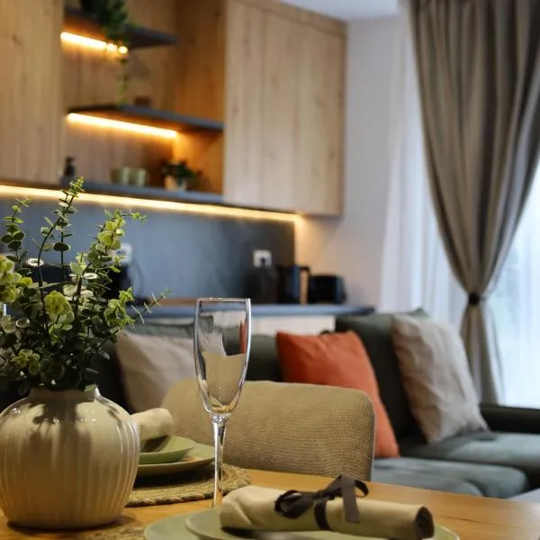 PRIME CITY CENTER - NordOne3 DeLuxe - Underground Private Parking and Big Balcony - by RealTrust, hotel a Timişoara