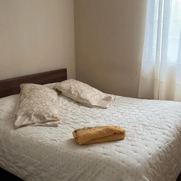 departamento Eli, hotel di Valdivia