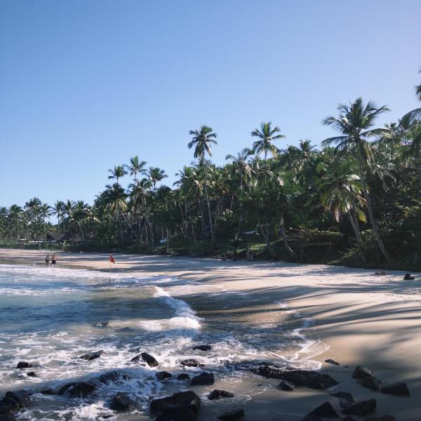 Suíte Jeribucaçu - Refúgio Natural - Sítio Hawai - Foto 5