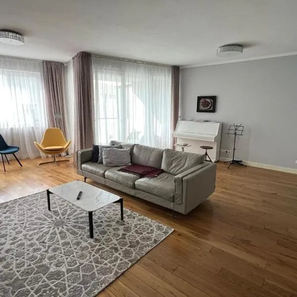 Spacious Central Apartment 110m2 with Free Parking、トレンチーンのホテル