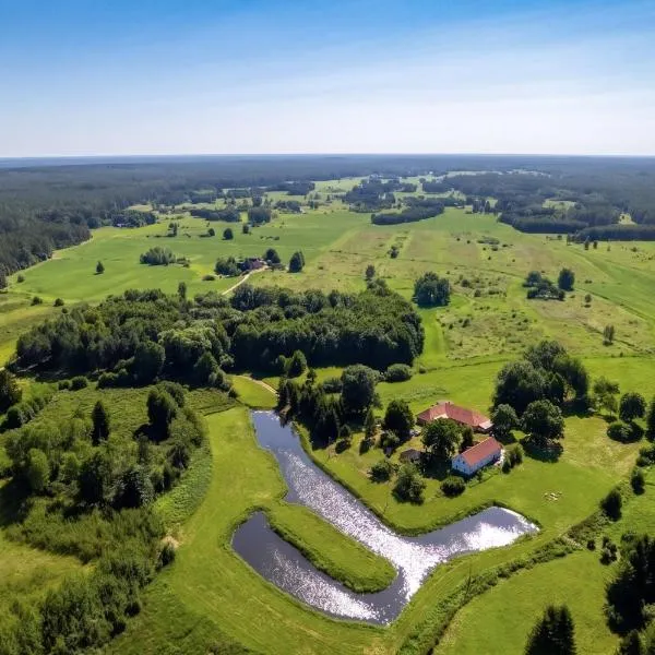 Horyzont Zdarzeń - Siedlisko Ciemnego Nieba, Agroturystyka 320m2, Sauna i Natura na Wyłączność, hotel sa Dzierżążno Małe