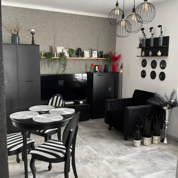 Apartament w centrum Kutna, hotel en Kutno