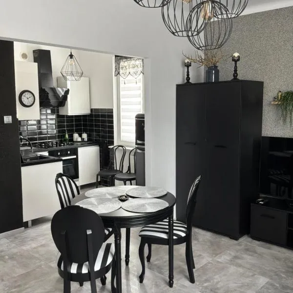 Apartament w centrum Kutna, хотел в Кутно