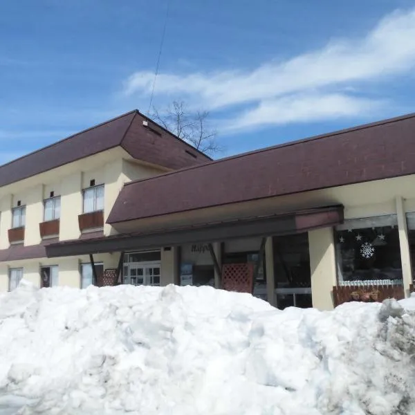 Lodge Villa Happo, hotel v destinaci Hakuba