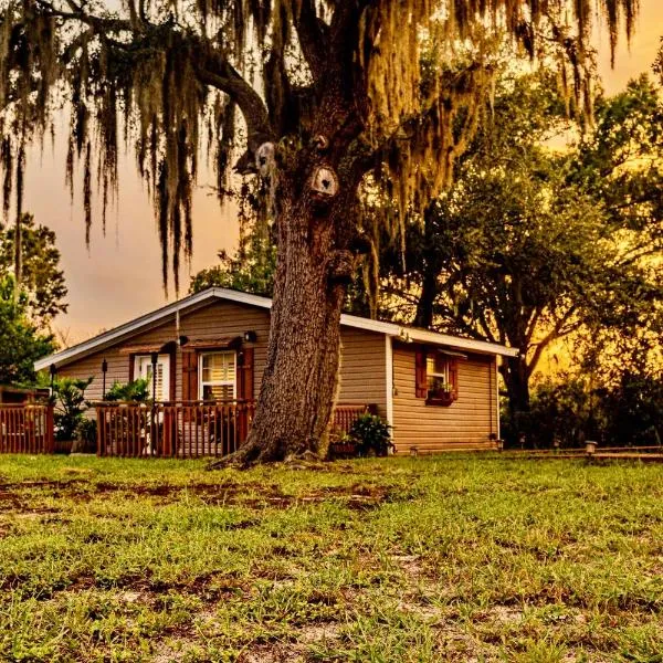 The Lake Alfred Citruswood Cabin, hotel em Lake Alfred
