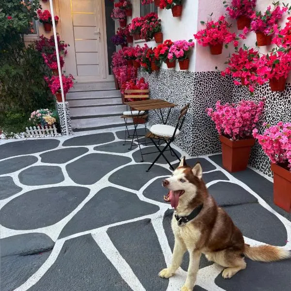 Casa de Flores, hotel em Knjazevac.