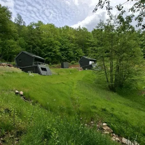 SMART LODGES Bad Rippoldsau, Hotel in Bad Rippoldsau-Schapbach