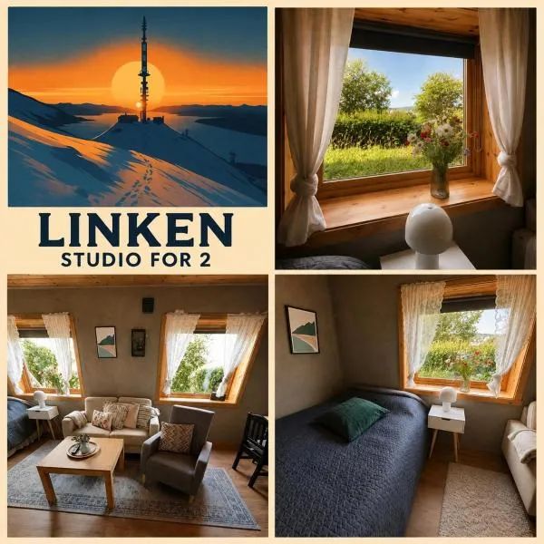 Linken Studio for 2, hotel i Narvik