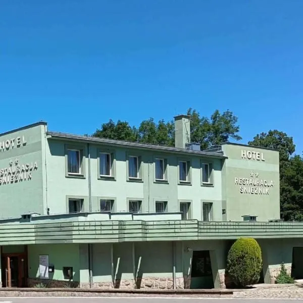Hotel Śnieżnik, hotel a Kłodzko