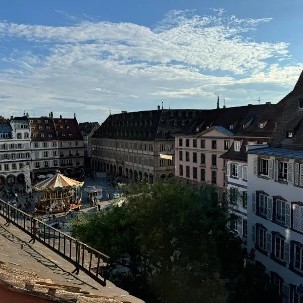 Appartement entier centre ville Strasbourg vue cathédrale: Strazburg'da bir otel