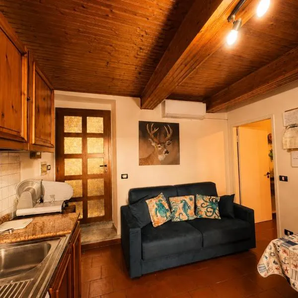 Mari & Monti - House in hills overlooking the sea, hotel a Montignoso