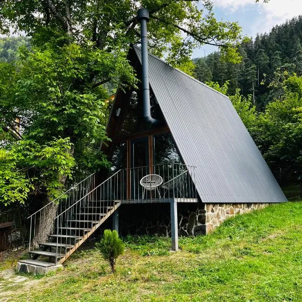 Wonderwood Borjomi Cottage, hotel din Borjomi