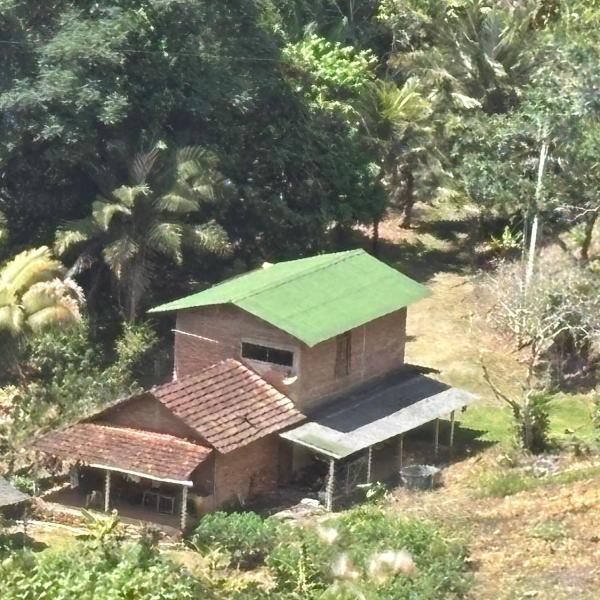 Eco Vila Uma Floresta