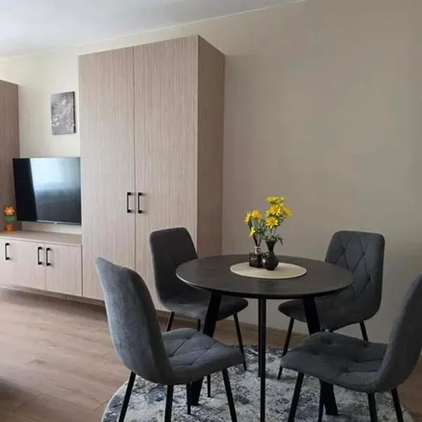 Modernus 1 kambario butas, hotel sa Šiauliai