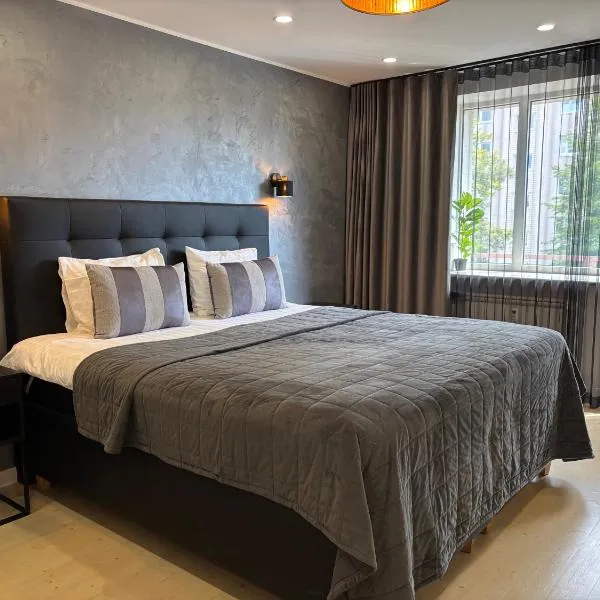 Tammsaare Luxury Apartment, hotel em Pärnu
