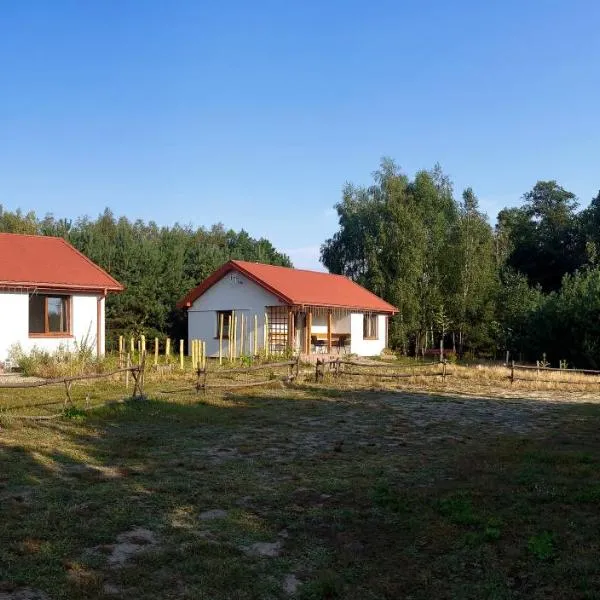 Domki Strumieniowa, hotel di Wólka Tanewska