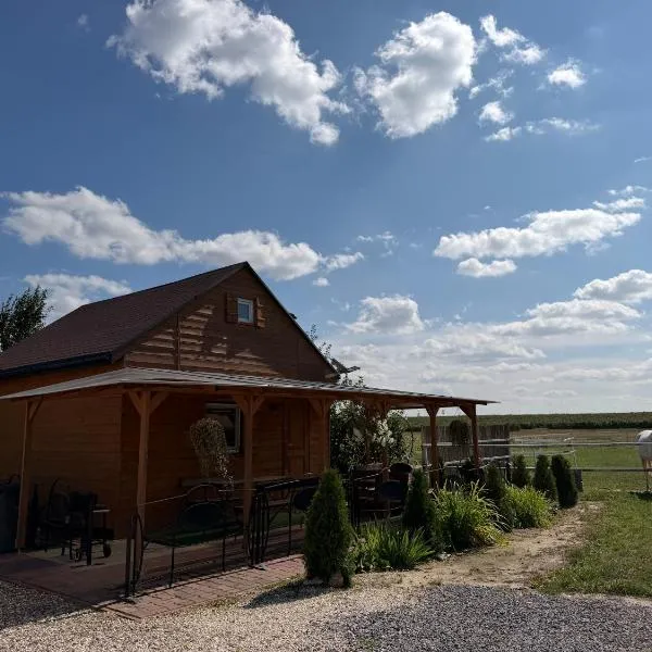 Domek wypoczynkowy - Stajnia Magenta, готель у місті Bychawa
