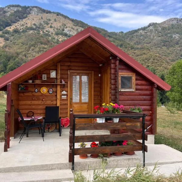 Wooden house, ξενοδοχείο σε Šavnik
