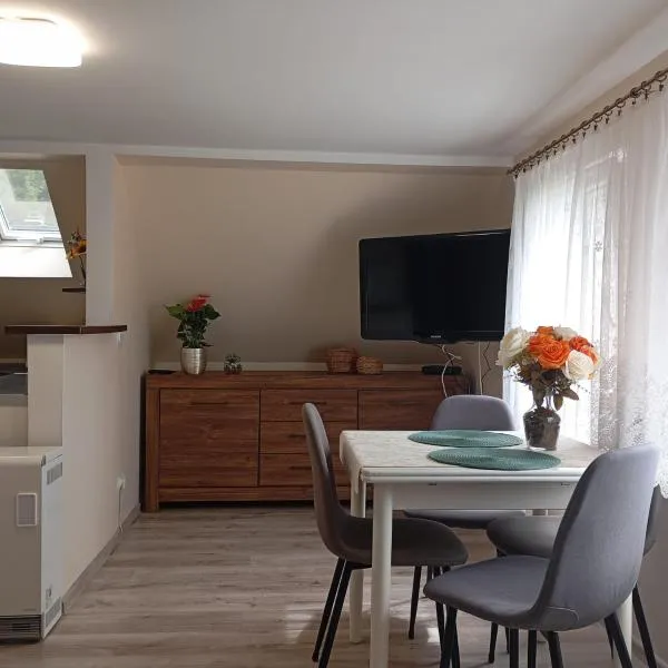 Apartament w sercu Jedliny-Zdrój Piastowska 40 m6, hotel a Jedlina-Zdrój