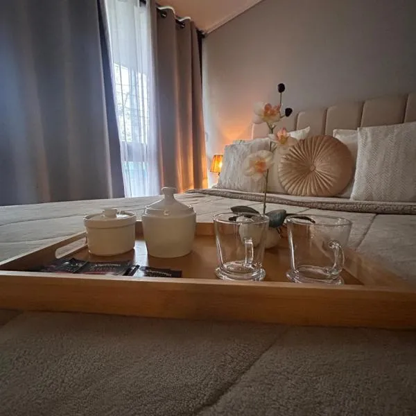 DEPARTAMENTO MODERNO Y COMODO CERCA A MOVISTAR ARENA Y FANTASILANDIA، فندق في سانتياغو