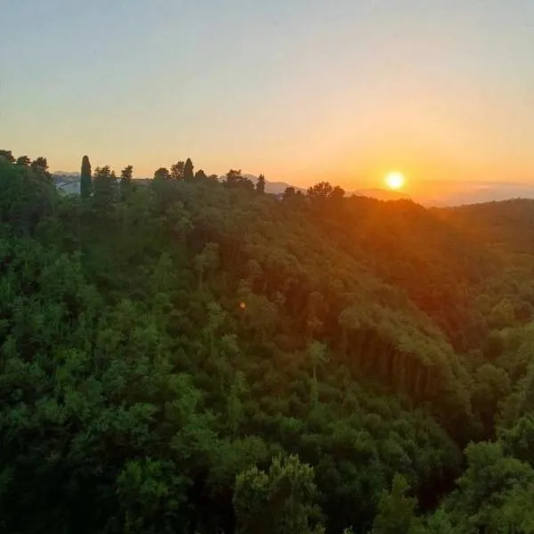 B&B Sant'Agata Appartamento, Hotel in SantʼAgata deʼ Goti