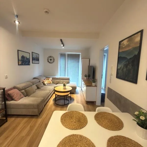Gondola Apartament-Źródlana, Hotel in Świeradów-Zdrój