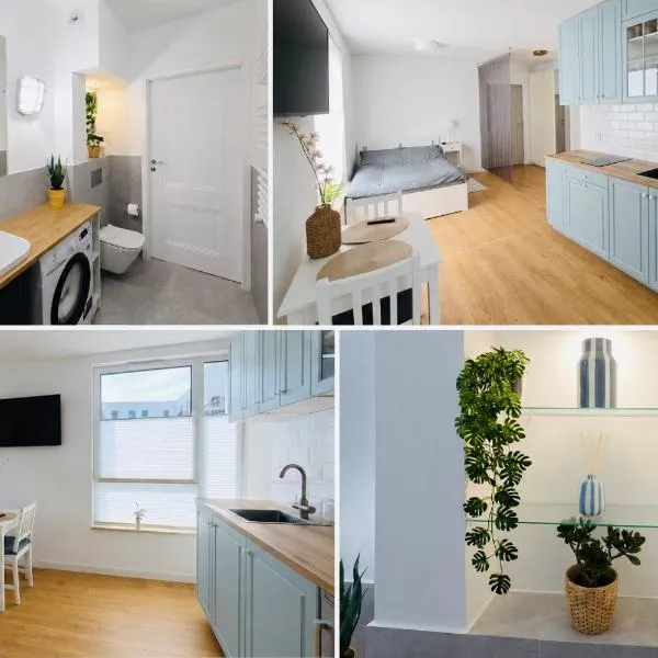 Blue Studio, hotell sihtkohas Borzęcin Duży