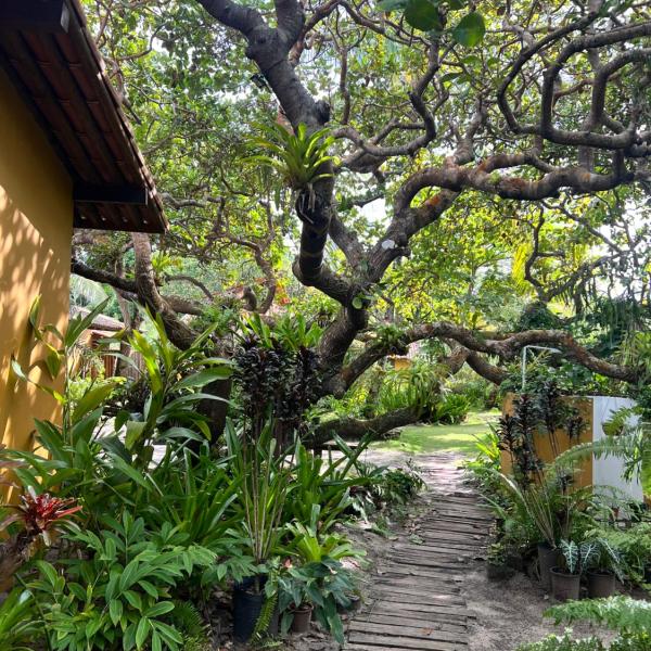 Pousada Terra Caraiva - Foto 5