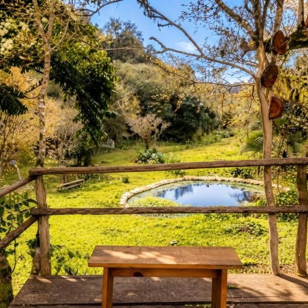 Chacara com Piscina, Lago e Trilha Jardim da Colina - Foto 5