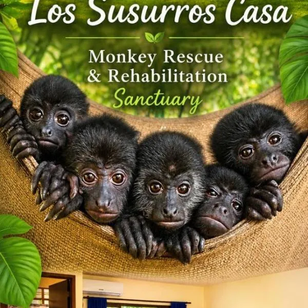 Los Susurros Casa Monkey Rescue and Rehabilitation Sanctuary, hotel v destinácii Palenque