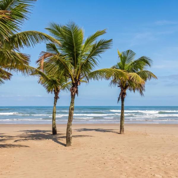 Apto com Churrasqueira a 550m da Praia Guilhermina - Foto 5