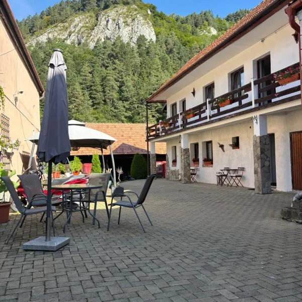 Guest House Piatra Craiului, hotel u gradu 'Bran'
