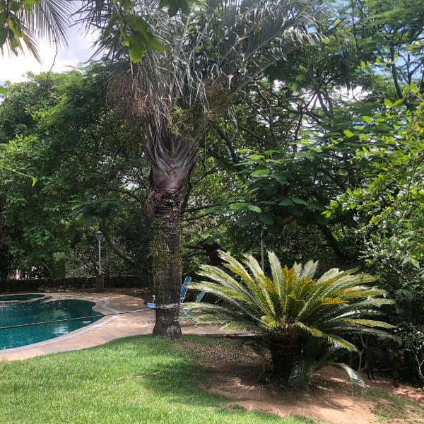 Espaço Mauna - Foto 3