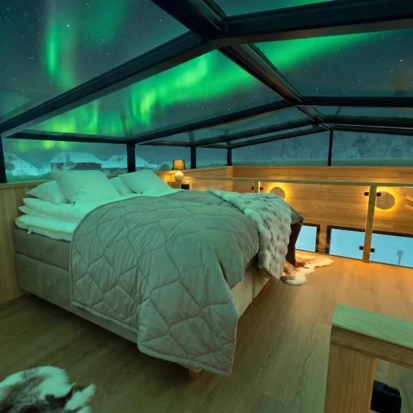 Levi Lapland Luxury Igloos D、レヴィのホテル