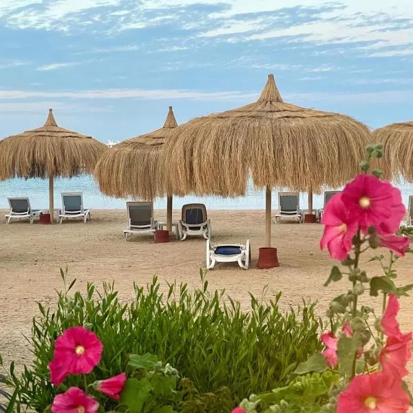 Luxury Studio, pool, Private beach & close to Airport, hotell Hurghadas