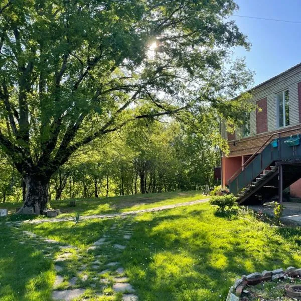 Zemarani Winery, hotel di Kʼveda Sakʼara